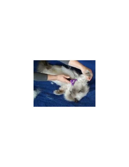 Четка за кучета и котки Furminator