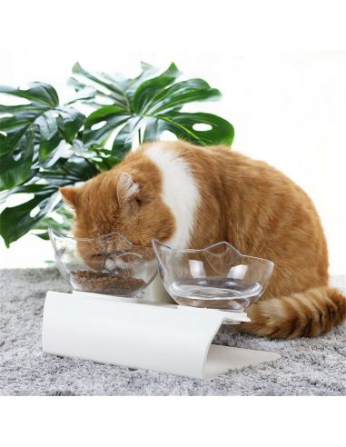 Модерна двойна купа за храна и вода за котки