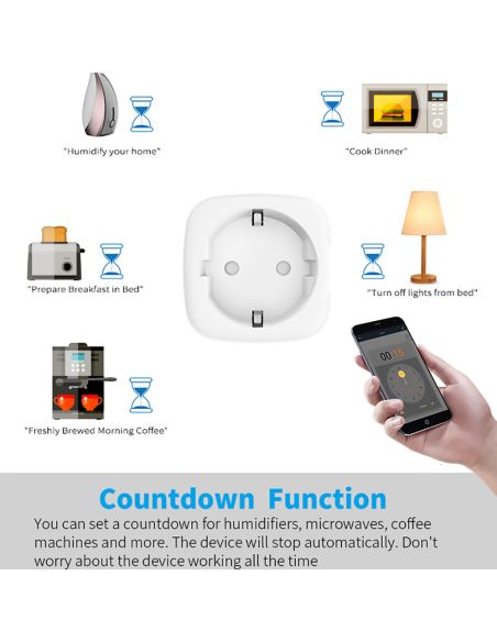 Смарт контакт WiFi 16A