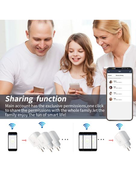 Смарт контакт WiFi 16A
