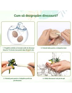 Комплект за Разкопки на Динозавърски Яйца Безопасна Гипсова Смес 2